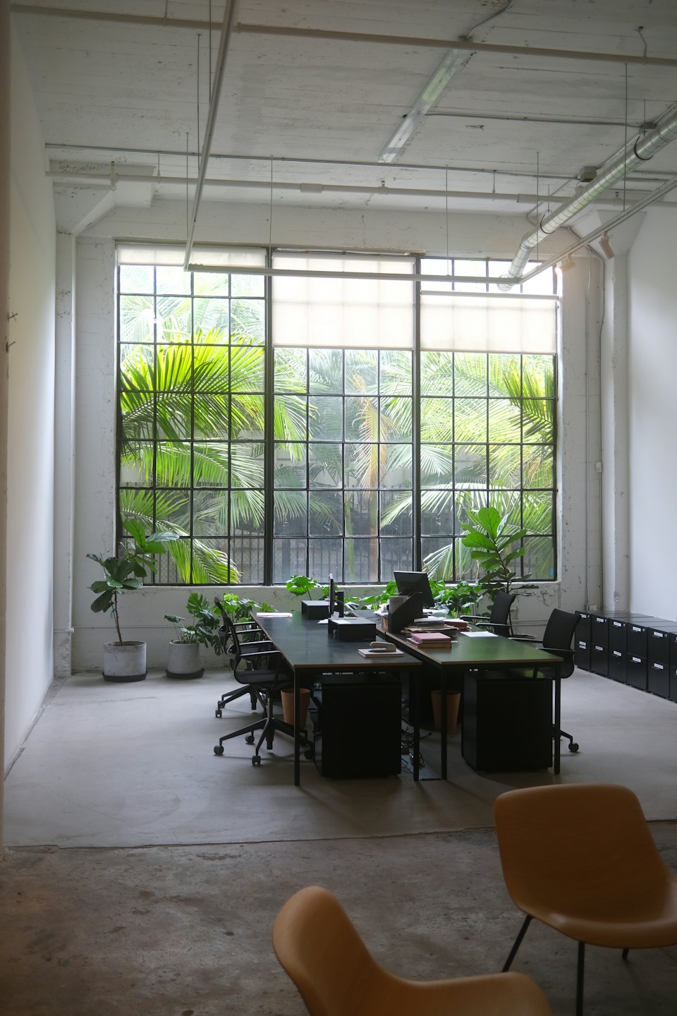 Modern office with communal desk and tropical greenery view.
