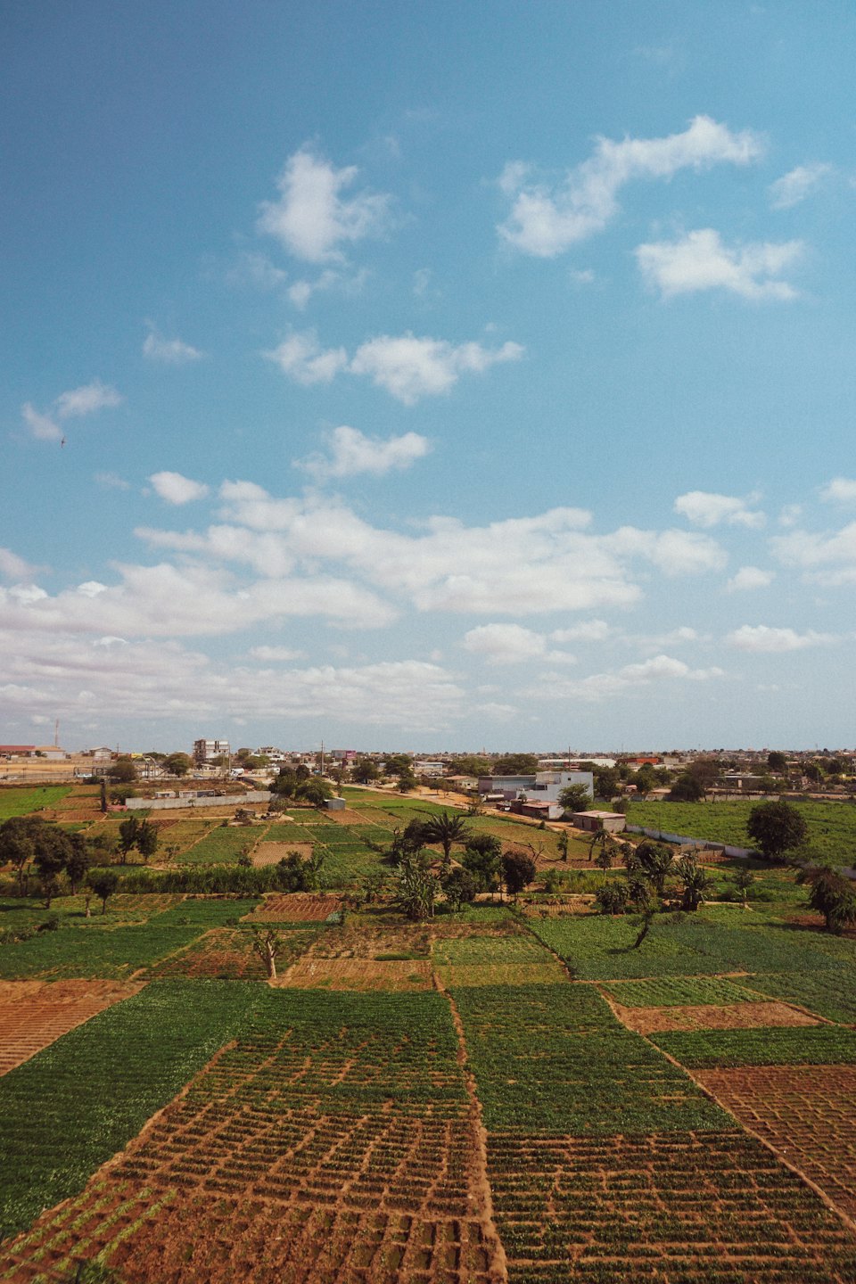 Green farm fields meet urban development under a blue sky.